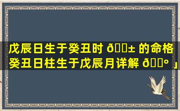 戊辰日生于癸丑时 🐱 的命格「癸丑日柱生于戊辰月详解 🐺 」